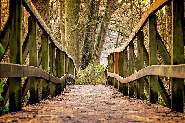 ground-level view across a footbridge in a forest path, looking straight down the centre to the other side; the bridge surface is littered with leafy bits and dirt ground in by many footsteps