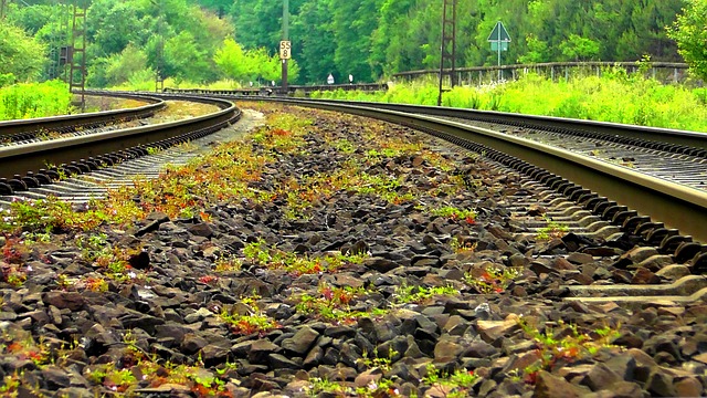 Two train tracks curving away to the left amid greenery
