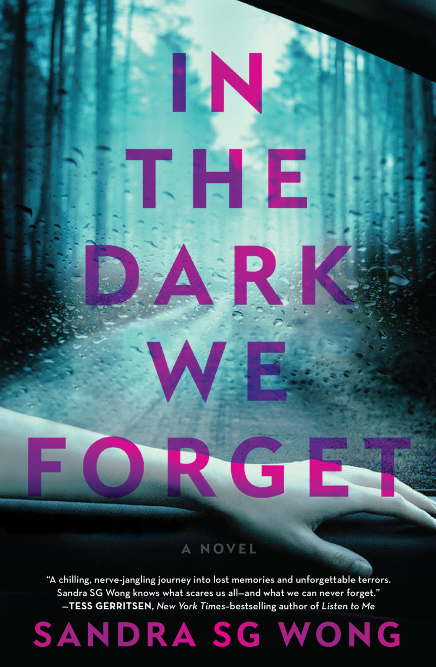 Cover of IN THE DARK WE FORGET