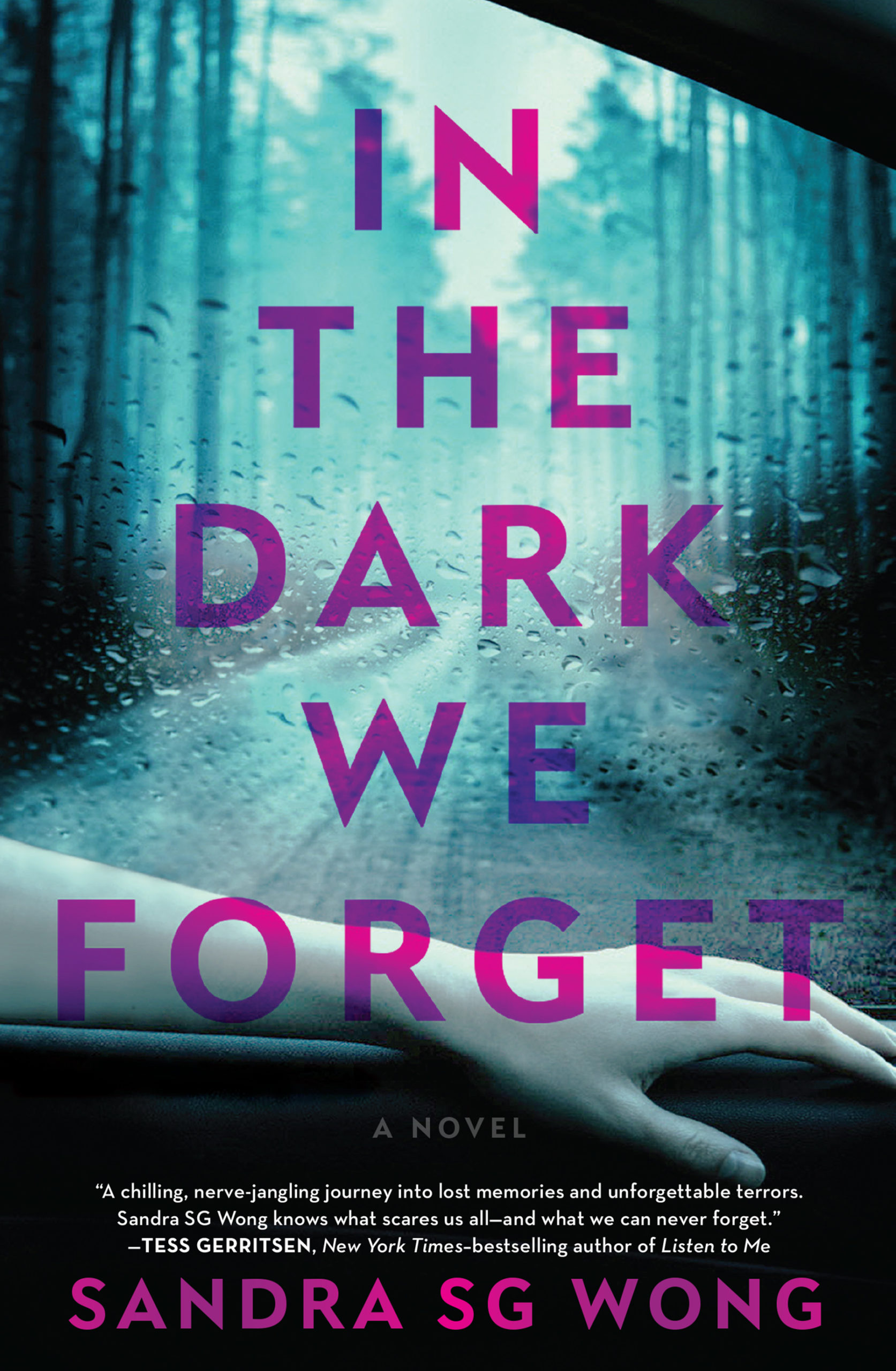 In The Dark We Forget Book Cover